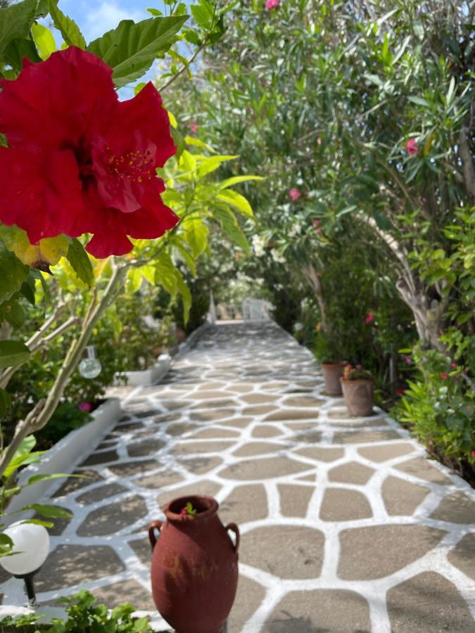 Seaside Studios Arkasa Karpathos Extérieur photo